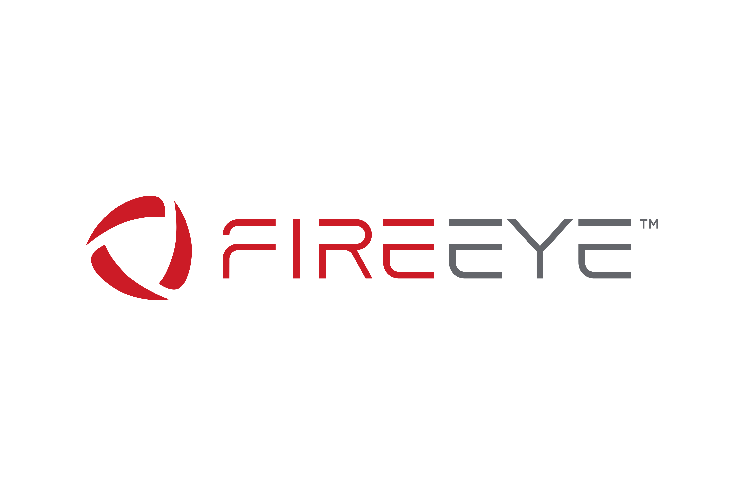 FireEye