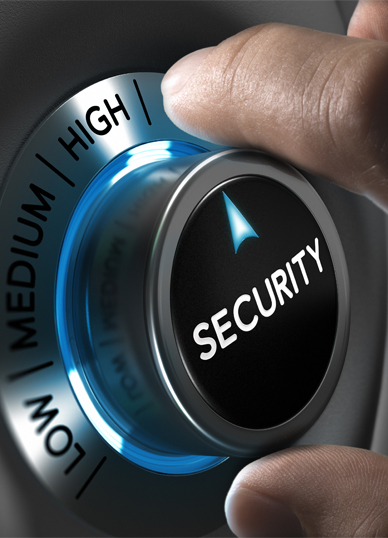 Advanced Security Services